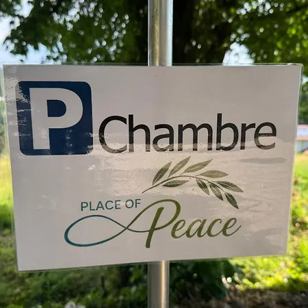 Place Of Peace - *