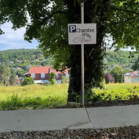 Проживание в семье Place Of Peace -